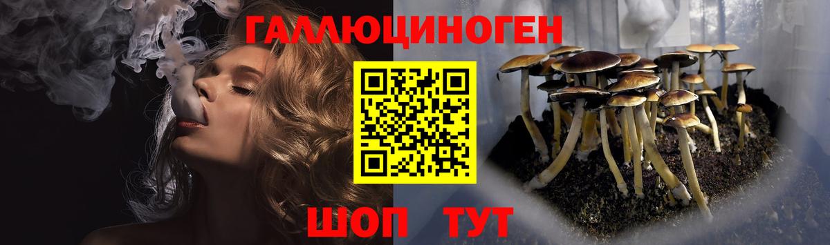 Галлюциногенные грибы Cubensis Мурманск